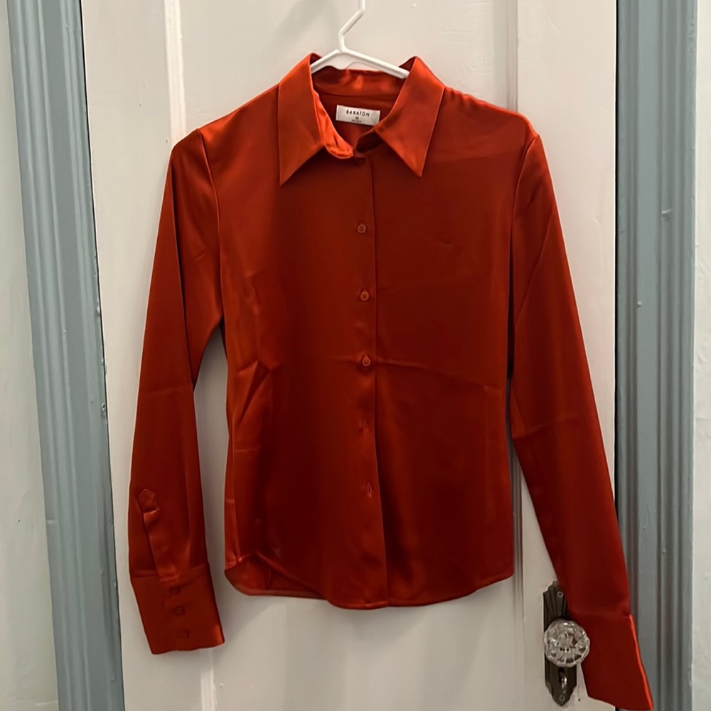 Babaton NWOT Silk Button Down Blouse